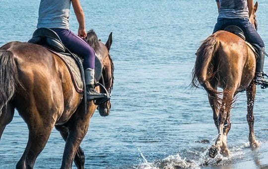 vacanza equitazione toscana