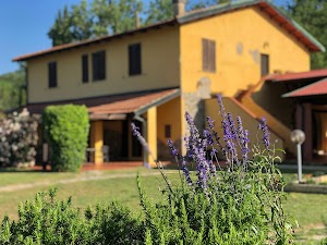 Agriturismo Santa Lorica place picture
