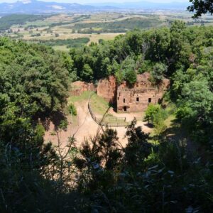 escursioni acropoli etrusca baratti