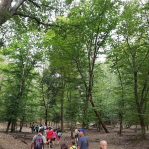 vacanze trekking riparbella il giardino