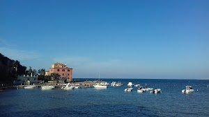 Baratti Diving place picture