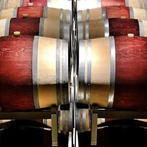 degustazioni bolgheri