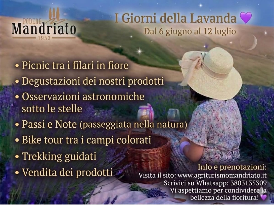 Locandina ufficiale dell'evento "I Giorni della Lavanda" al Podere Mandriato con elenco attività, date 6 giugno-12 luglio, e contatti per prenotare.