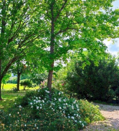 giardini vacanza olistica toscana