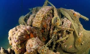 immersione subacquea baratti diving