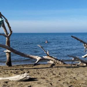 spiaggia marina di donoratico
