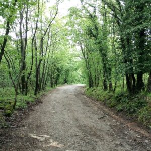 Borgo del lupo escursioni cavallo Monte cetona Sarteano