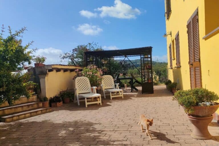 monolocale suvereto appartamento a suvereto toscana