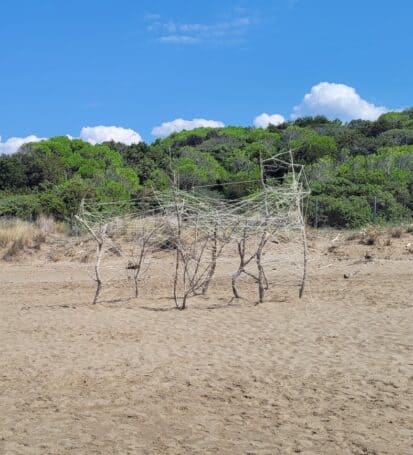 Scultura di rami sulla spiaggia della Costa degli Etruschi con pineta sullo sfondo
