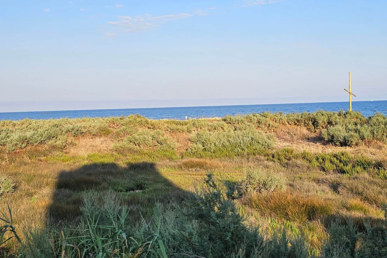Vegetazione costiera del Golfo di Piombino tra Perelli e Follonica