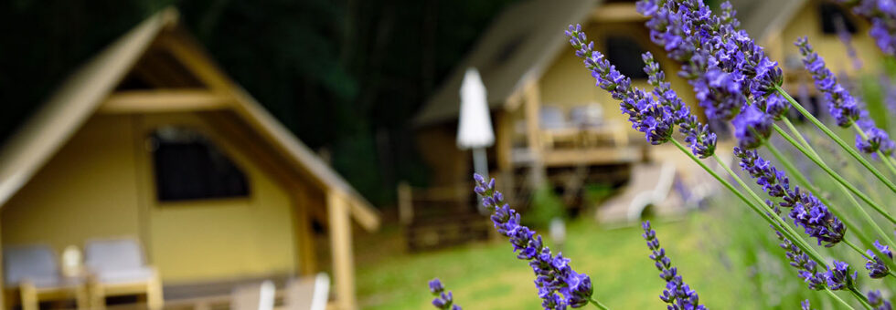 glamping pian delle ginestre sassetta