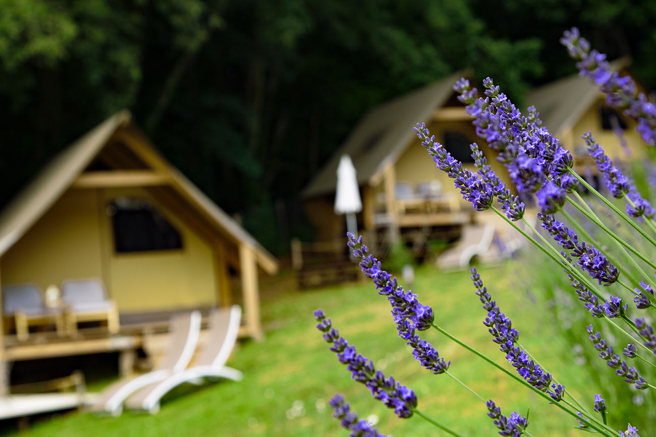 glamping pian delle ginestre sassetta