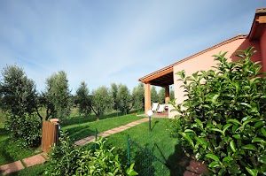 Agriturismo L'Acacia place picture