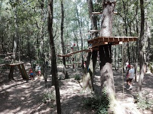 Il Tasso Scatenato - Parco Avventura di Maremma place picture