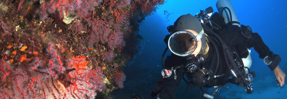 Stefania di Argentario Divers illumina con la torcia una parete ricoperta di corallo e gorgonie rosse durante un'immersione nel parco nazionale dell'Arcipelago Toscano